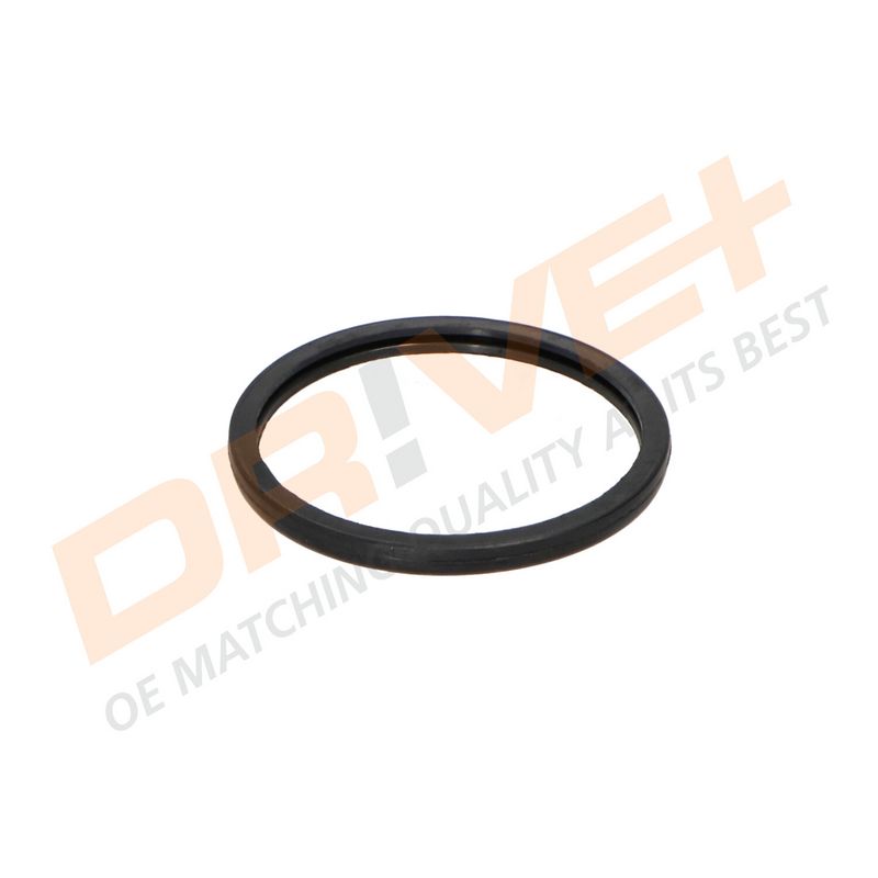 DP2310.14.0335 DRIVE+ Термостат
