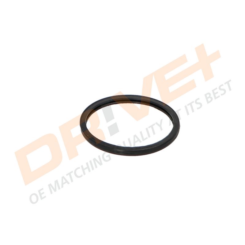 DP2310.14.0339 DRIVE+ Термостат