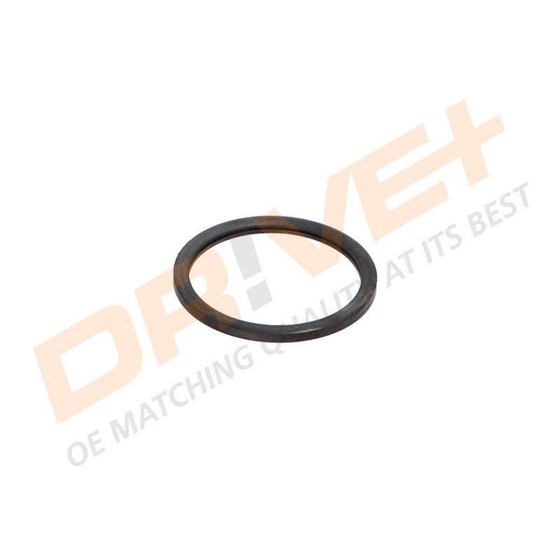 DP2310.14.0342 DRIVE+ Термостат