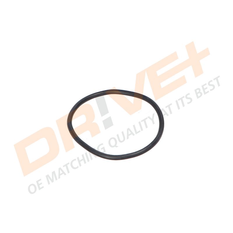DP2310.14.0349 DRIVE+ Термостат