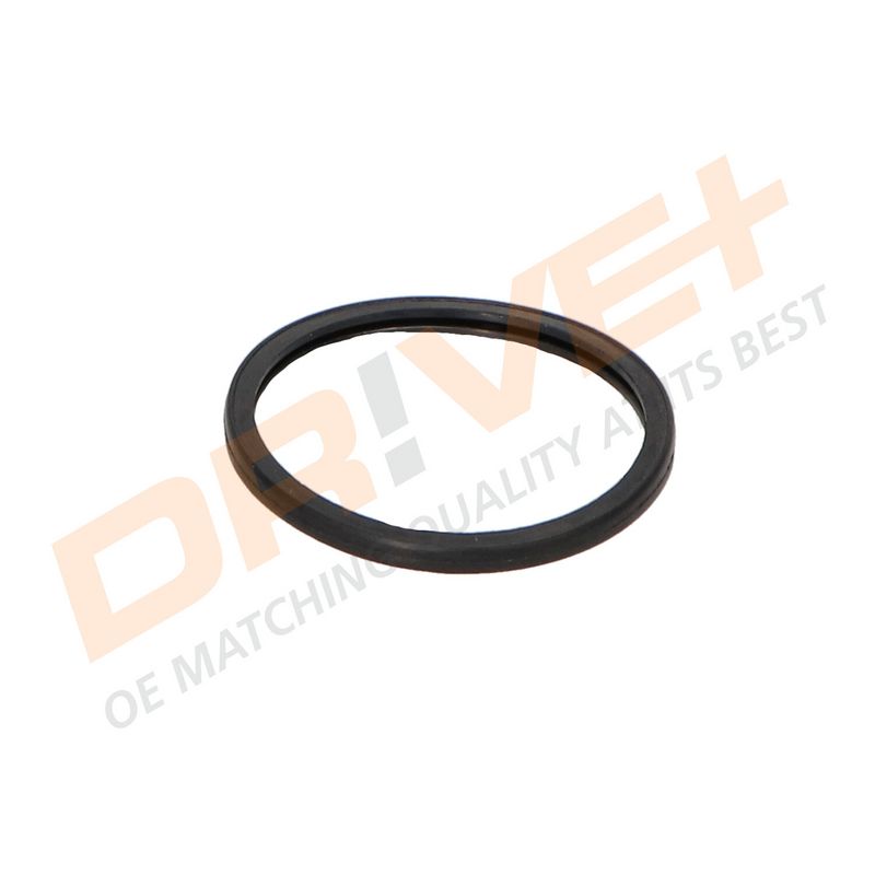 DP2310.14.0362 DRIVE+ Термостат