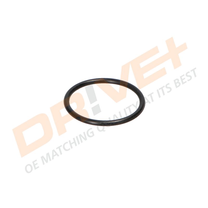 DP2310.14.0387 DRIVE+ Термостат