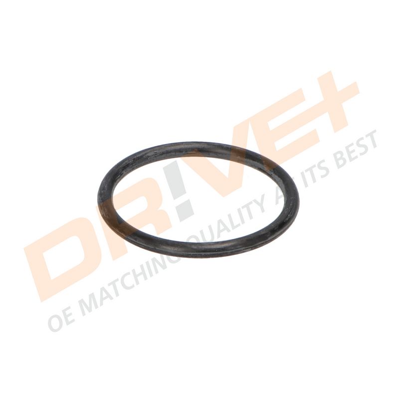 DP2310.14.0389 DRIVE+ Термостат
