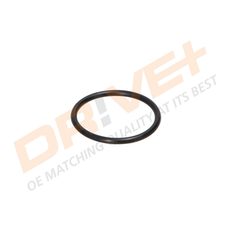 DP2310.14.0393 DRIVE+ Термостат