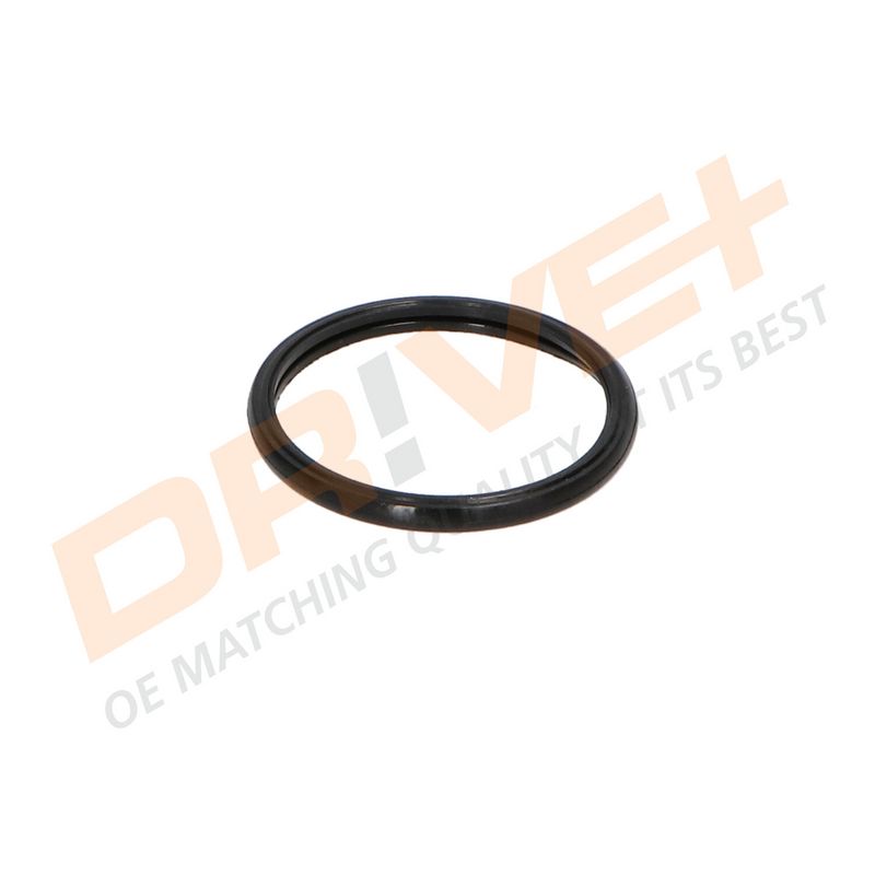 DP2310.14.0418 DRIVE+ Термостат
