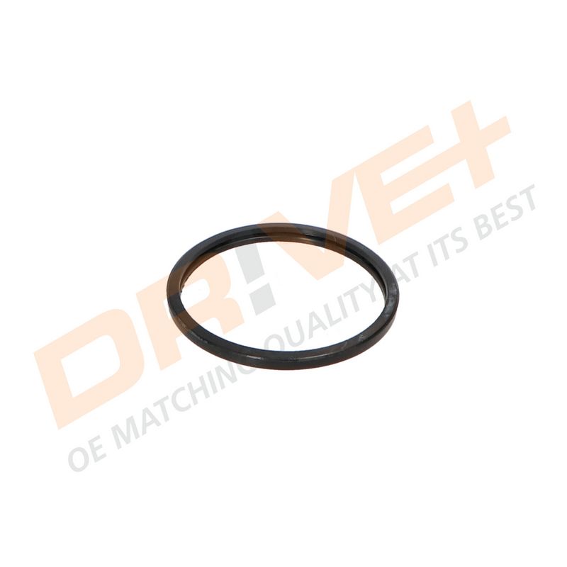 DP2310.14.0423 DRIVE+ Термостат