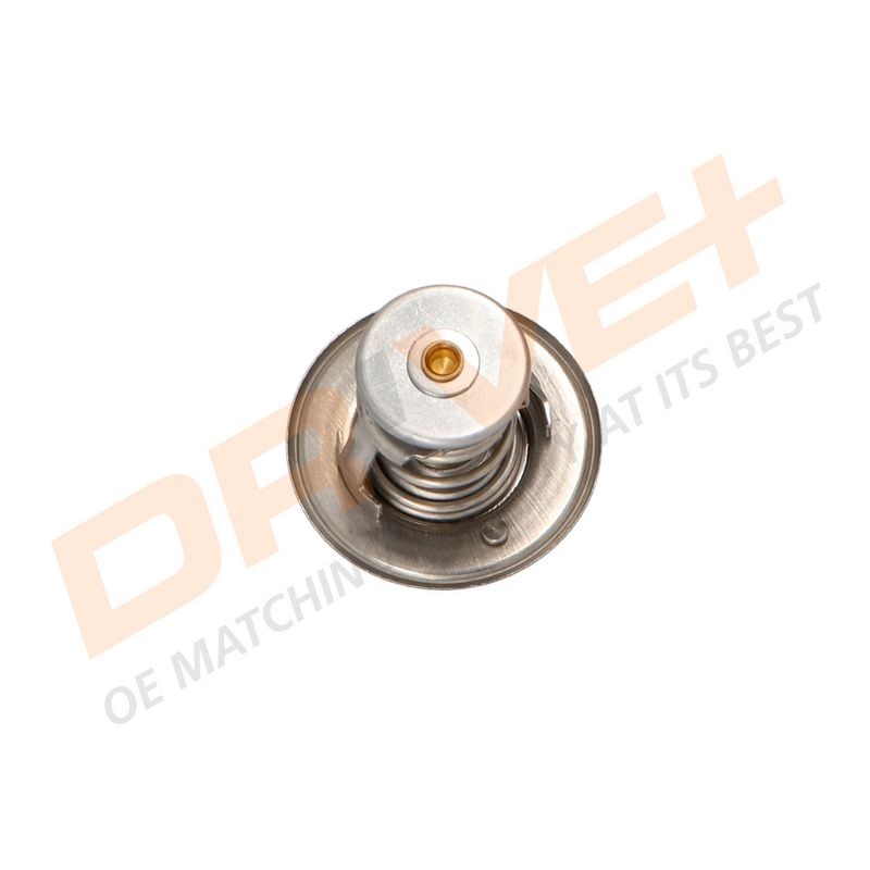 DP2310.14.0423 DRIVE+ Термостат