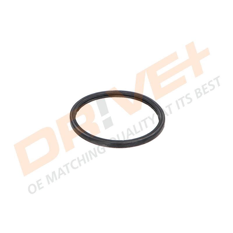 DP2310.14.0522 DRIVE+ Термостат