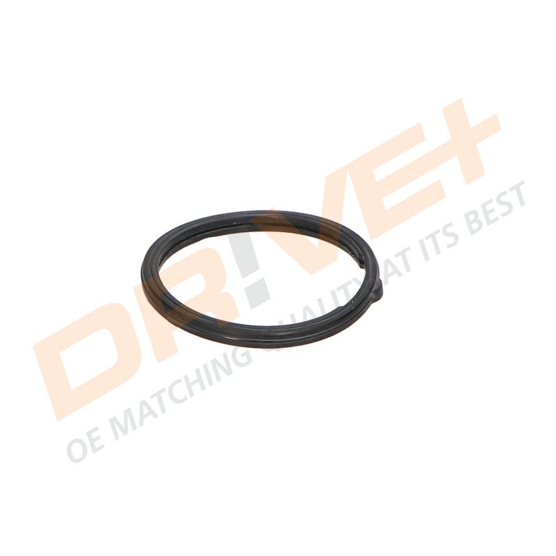 DP2310.14.0541 DRIVE+ Термостат