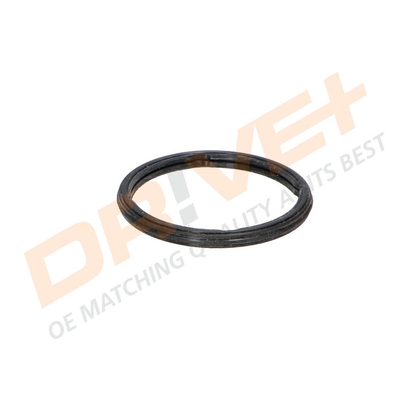 DP2310.14.0547 DRIVE+ Термостат