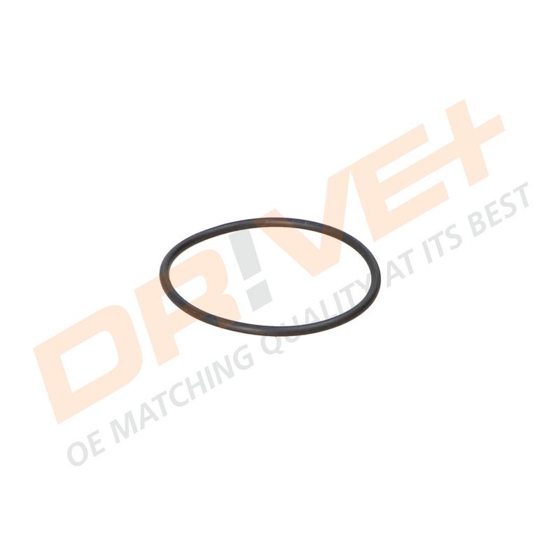 DP2310.14.0592 DRIVE+ Термостат