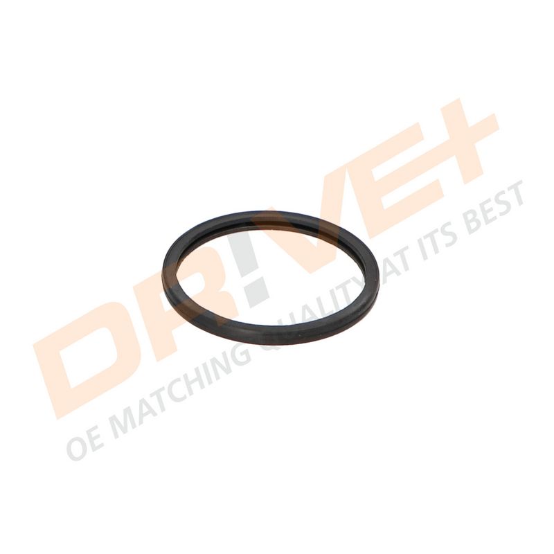 DP2310.14.0594 DRIVE+ Термостат