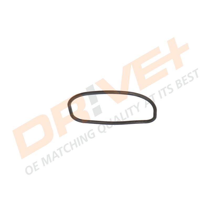 DP2310.14.0648 DRIVE+ Термостат