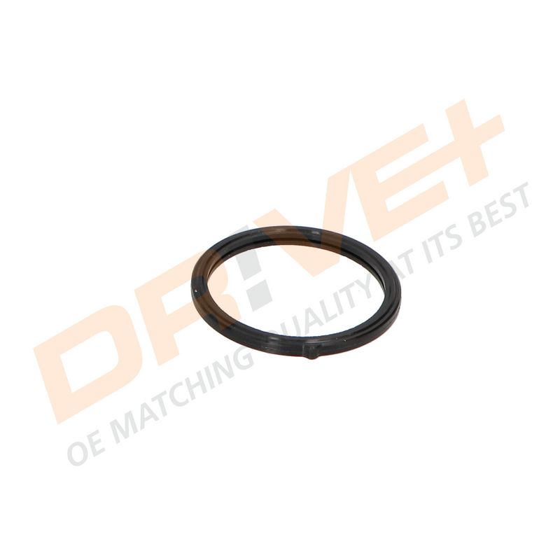 DP2310.14.0680 DRIVE+ Термостат