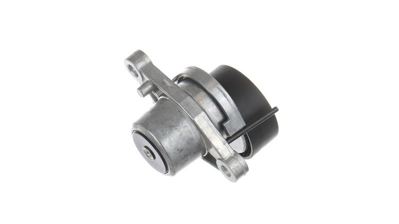 SKF VKM33113 Натяжний пристрій, клиновий ремінь (Вир-во SKF)