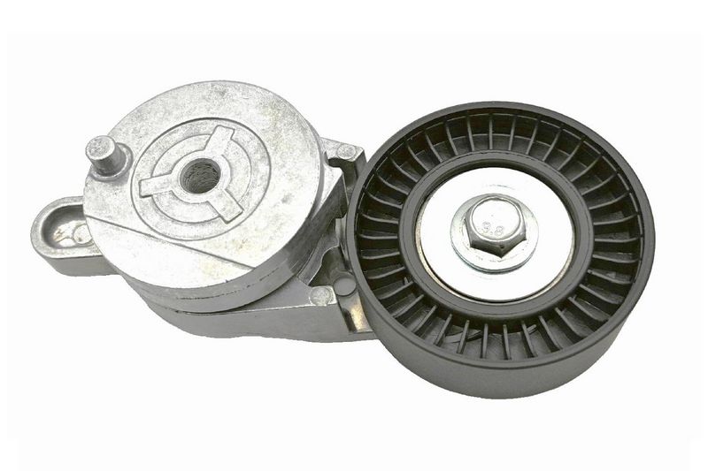 SKF VKMA61219 Комплект ременів поліклинових (Вир-во SKF)