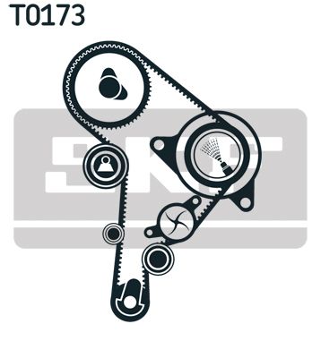 SKF VKMC01244 Водяний насос +  комплект зубчастого реміня (Вир-во SKF)