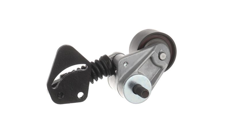VKMCV 55001 SKF Ролик з натягувачем APV2460 D=65, W=36