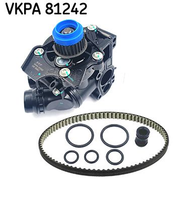 SKF VKPA81242 Насос охолоджувальної рідини + ремінь (Вир-во SKF)