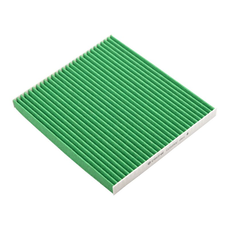 CC0250C Фільтр салону (Castrol)