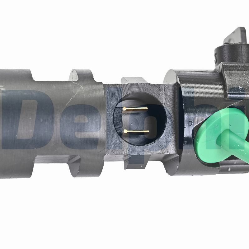 R00101DP Delphi Інжектор