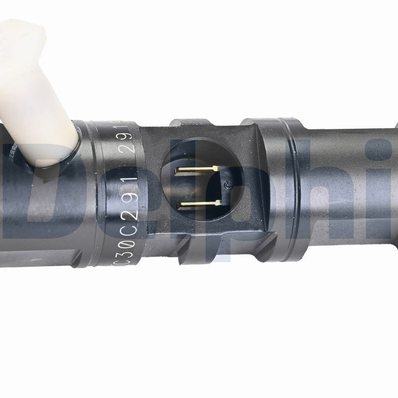 R02201Z Delphi Інжектор