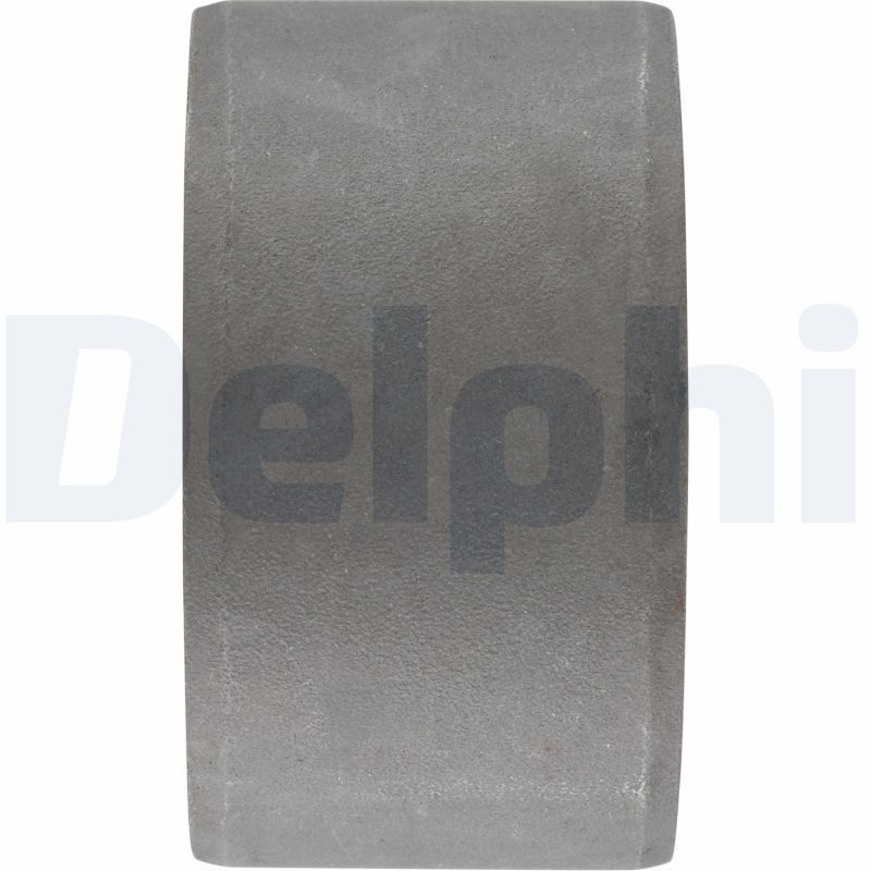 TD344W Delphi Сайлентблок