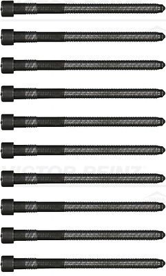 Victor Reinz 143216601 Болти ГБЦ комплект 10 штук на VW Passat 2.0i 01-05