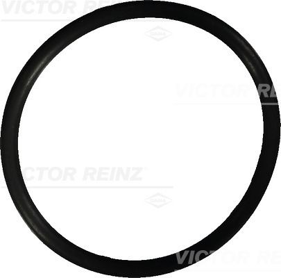 Victor Reinz 407602210 Ущільнююче кільце