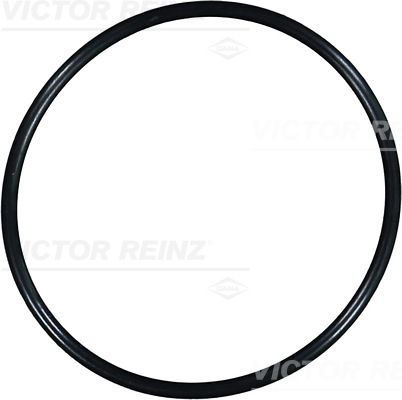 Victor Reinz 407610800 Ущільнювальне кільце