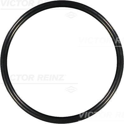 Victor Reinz 407613100 Ущільнювальне кільце