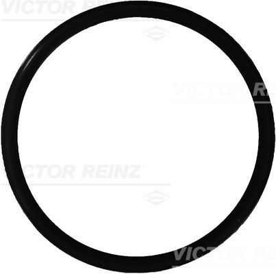 Victor Reinz 407616500 Ущільнювальне кільце