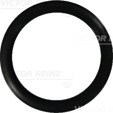 Victor Reinz 407644900 Кільце ущільнювача