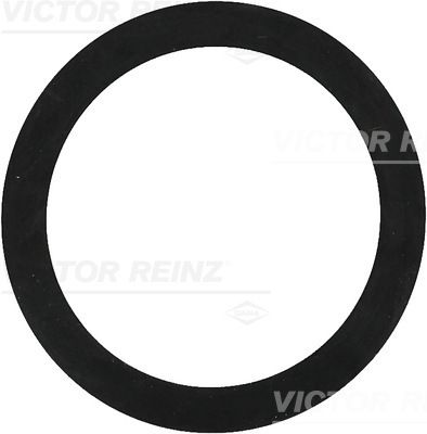 Victor Reinz 407739200 Ущільнювальне кільце