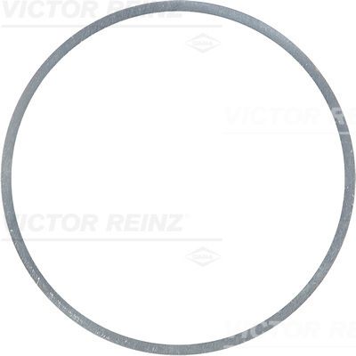 Victor Reinz 418317710 Ущільнювальне кільце