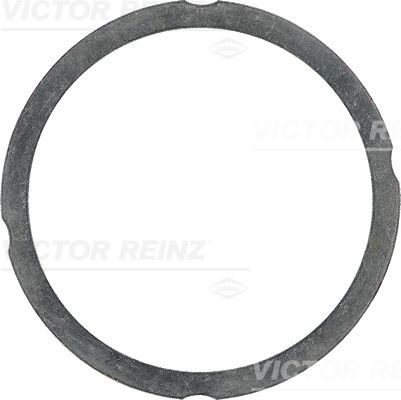 Victor Reinz 612547560 Ущільнення, голівка циліндра
