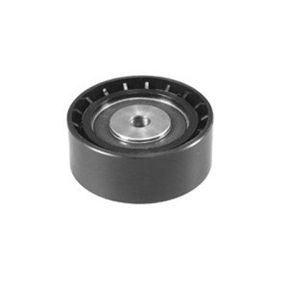 Magneti Marelli 331316170117 Ролик генератора Renault Kangoo/Clio II 1.2 16V 97- (паразитний) (56x21
