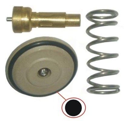 Magneti Marelli 352317003470 Термостат VW Golf V/Passat/Polo 1.2/1.4TSi/1.6FSI 01-08 (87 °C) (TE0347
