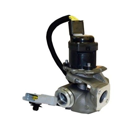 Magneti Marelli 571822112031 Клапан системи рециркуляції ВГ